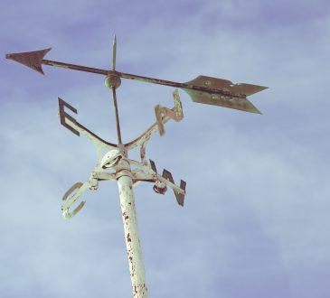 Eight career assessment tools to help clients find their fit