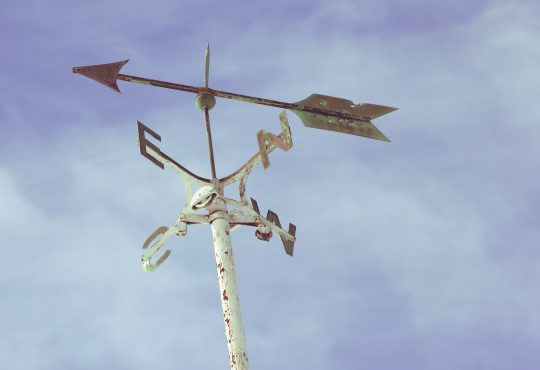 Eight career assessment tools to help clients find their fit