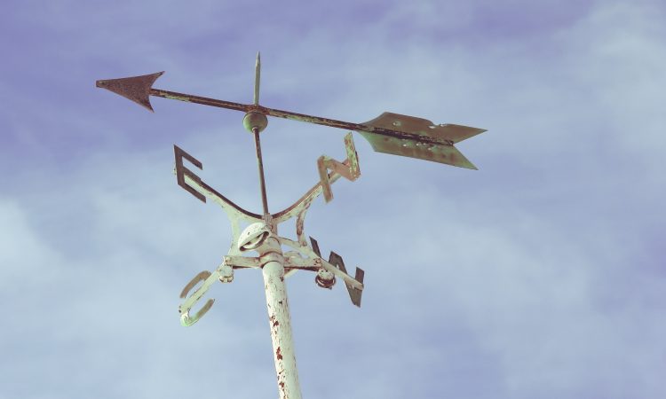 Eight career assessment tools to help clients find their fit
