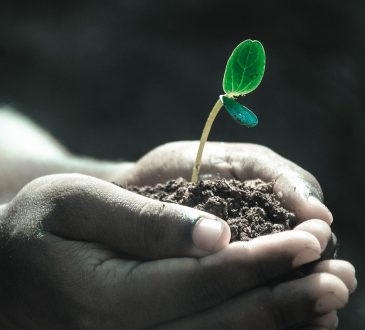 How my client reclaimed her career story after losing her job