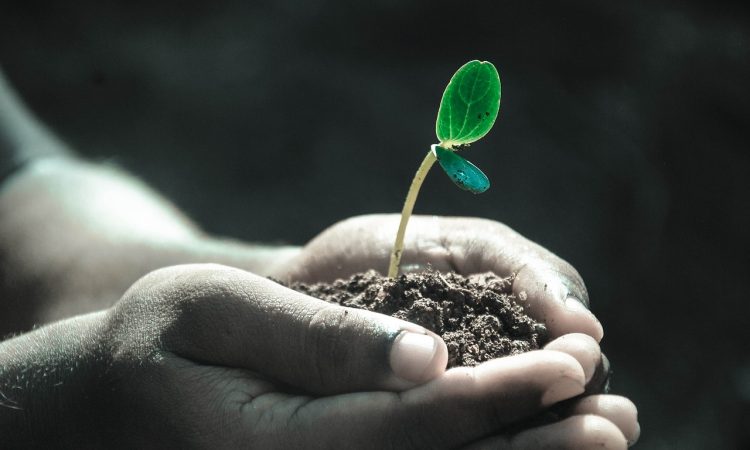How my client reclaimed her career story after losing her job
