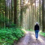 My journey into career development: Finding my path to help others follow theirs