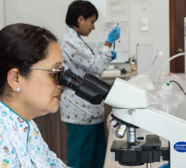 It is widely assumed that sciences offer students a ‘safe’ future. While there are many opportunities available, expectations do not always align with reality
