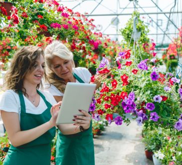 two women working in a garden centre