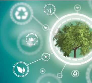tree with sustainability icons around it