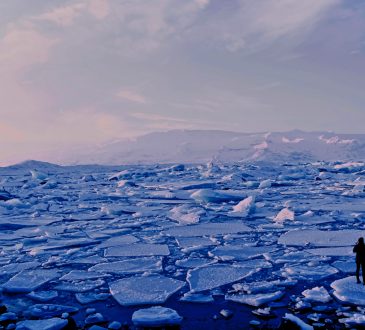 man and woman standing on broken ice in arctic
