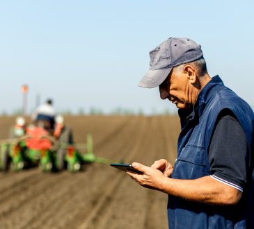 Senior farmer in field examining sowing and holding tablet in his hands.
