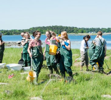 students on ecology, biology field trip to study marine life.