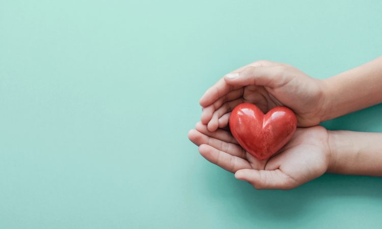 hands holding red heart on blue background