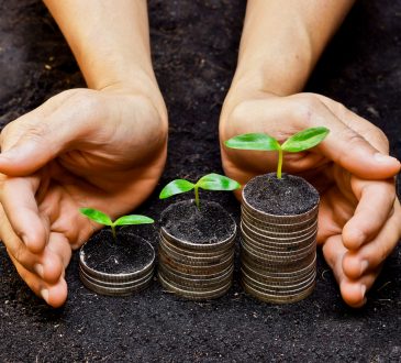 hands holding tress growing on coins