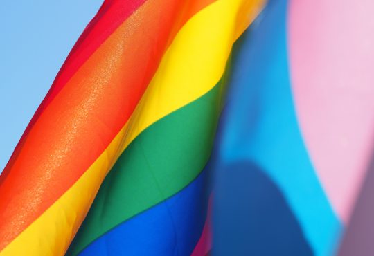pride and transgender pride flags