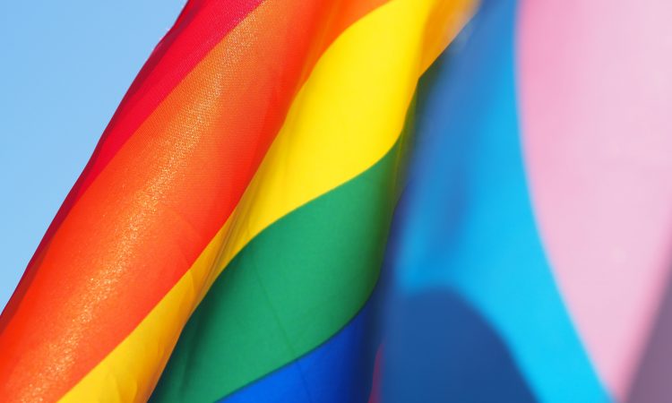 pride and transgender pride flags