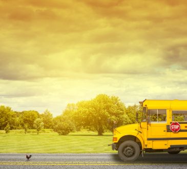 School Bus on american country road in the morning