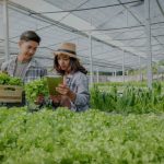 students harvesting plants in greenhouse