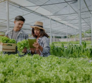 students harvesting plants in greenhouse