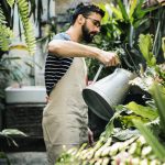 Man watering plants in greenhouse.