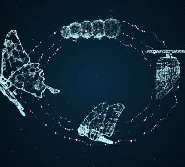 Technology transformation concept using butterfly evolution