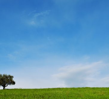Blue sky above green field