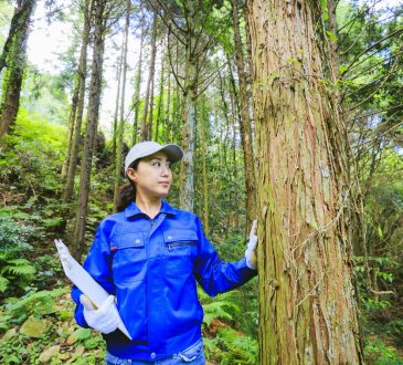 Woman working in forest