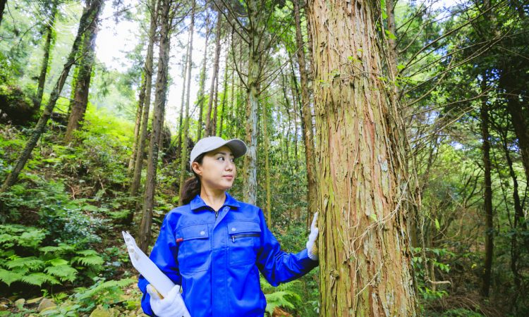 Woman working in forest
