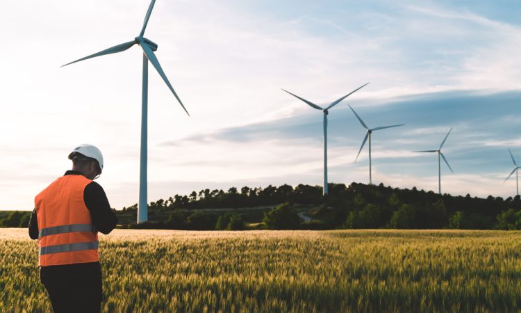 Engineer working at alternative renewable wind energy farm