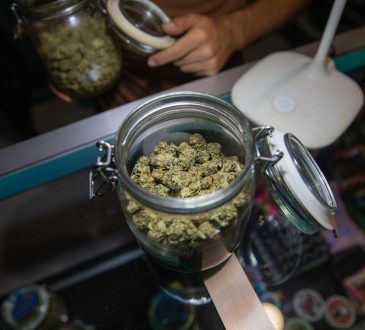 A opened jar filled with raw marijuana buds on a desk inside a coffee shop.