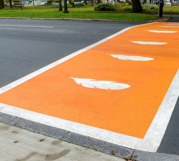 Crosswalk painted orange with white feathers for Truth and Reconciliation