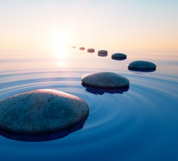 Dark stones in calm water with evening sun