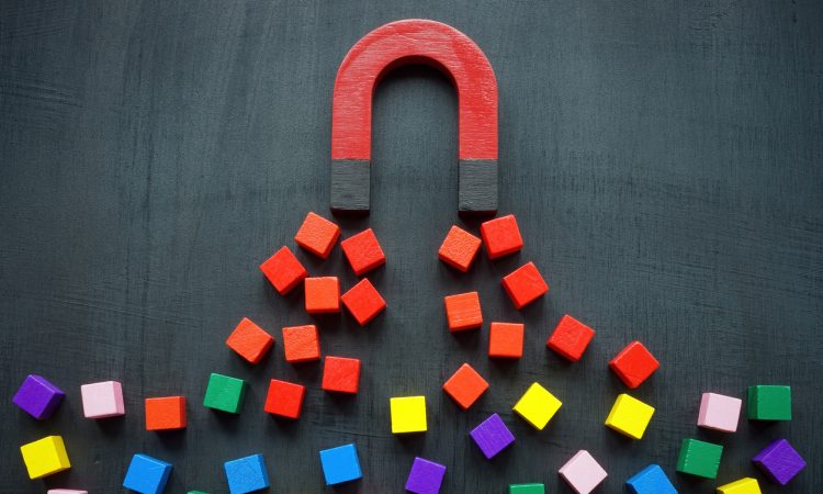Magnet attracts coloured cubes.