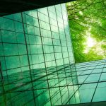 Looking up side of glass building at tree canopy
