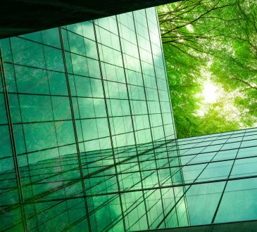 Looking up side of glass building at tree canopy