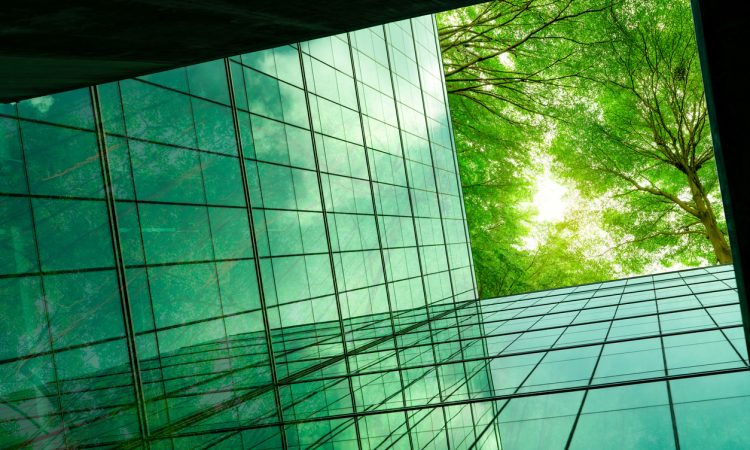 Looking up side of glass building at tree canopy
