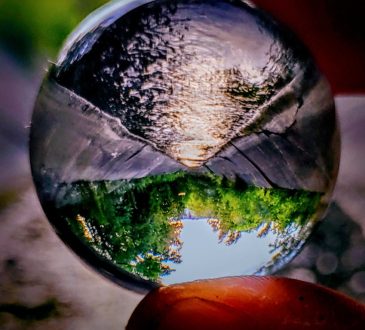 Image of river and forest seen through clear glass marble