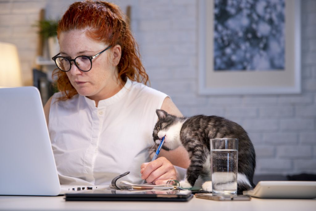 Cat biting woman's pen while she works