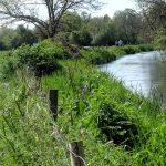 Photo of river surrounded by lush greenery and trees. People can be seen walking in the distance.