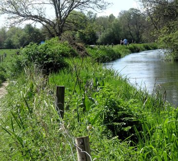 Photo of river surrounded by lush greenery and trees. People can be seen walking in the distance.