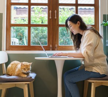 A young woman working on a laptop at a small table by a window, with a cat resting on a chair beside her.