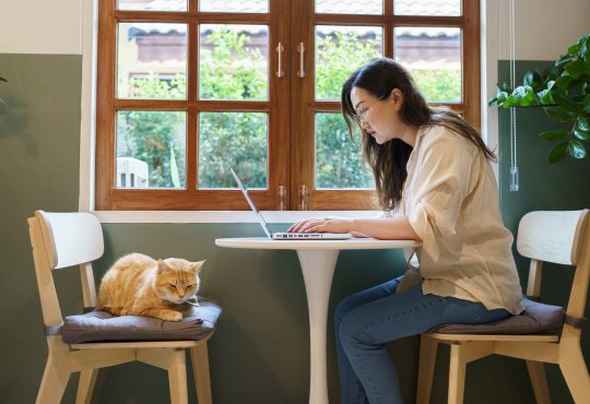 A young woman working on a laptop at a small table by a window, with a cat resting on a chair beside her.