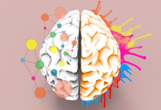 Brain left and right creativity functions