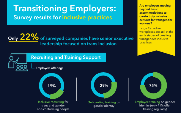 Infographic excerpt from Transitioning Employers: only 22% of surveyed companies have senior executive leadership focused on trans inclusion